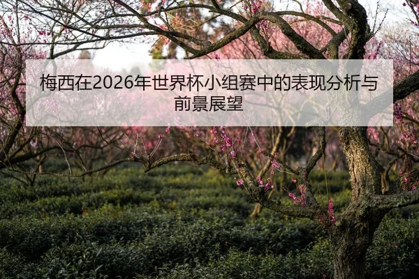 梅西在2026年世界杯小组赛中的表现分析与前景展望